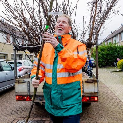 Gemeente Apeldoorn deelt gratis bomen uit met actie ‘Boompje Erbij’