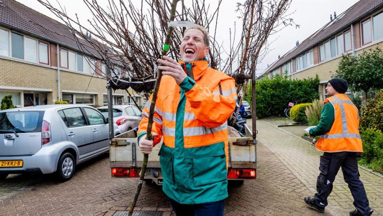 Gemeente Apeldoorn deelt gratis bomen uit met actie ‘Boompje Erbij’