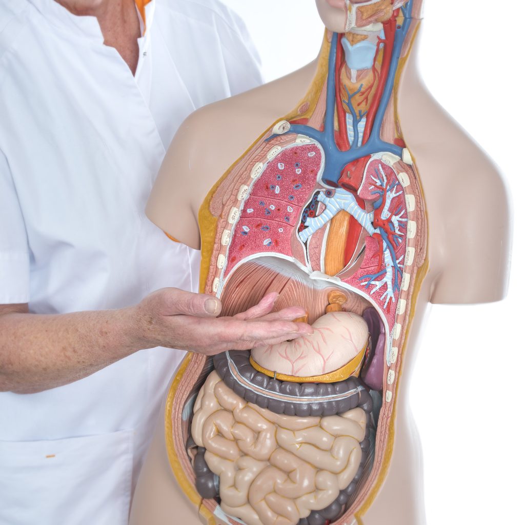 Informatieavond over maag- en slokdarmkanker bij Gelre Apeldoorn