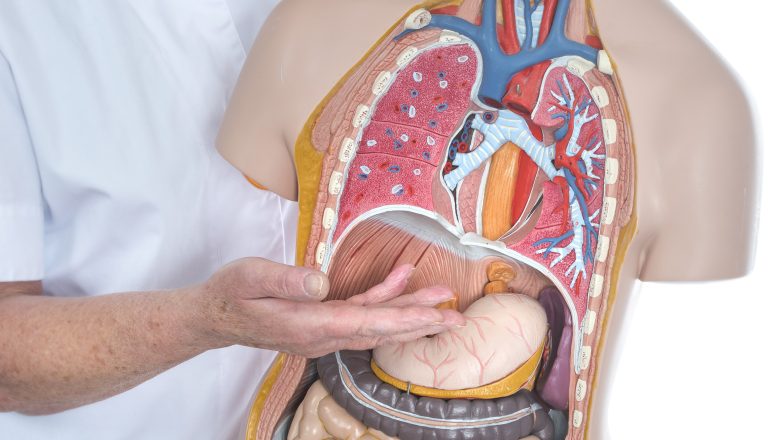 Informatieavond over behandeling van maag- en slokdarmkanker